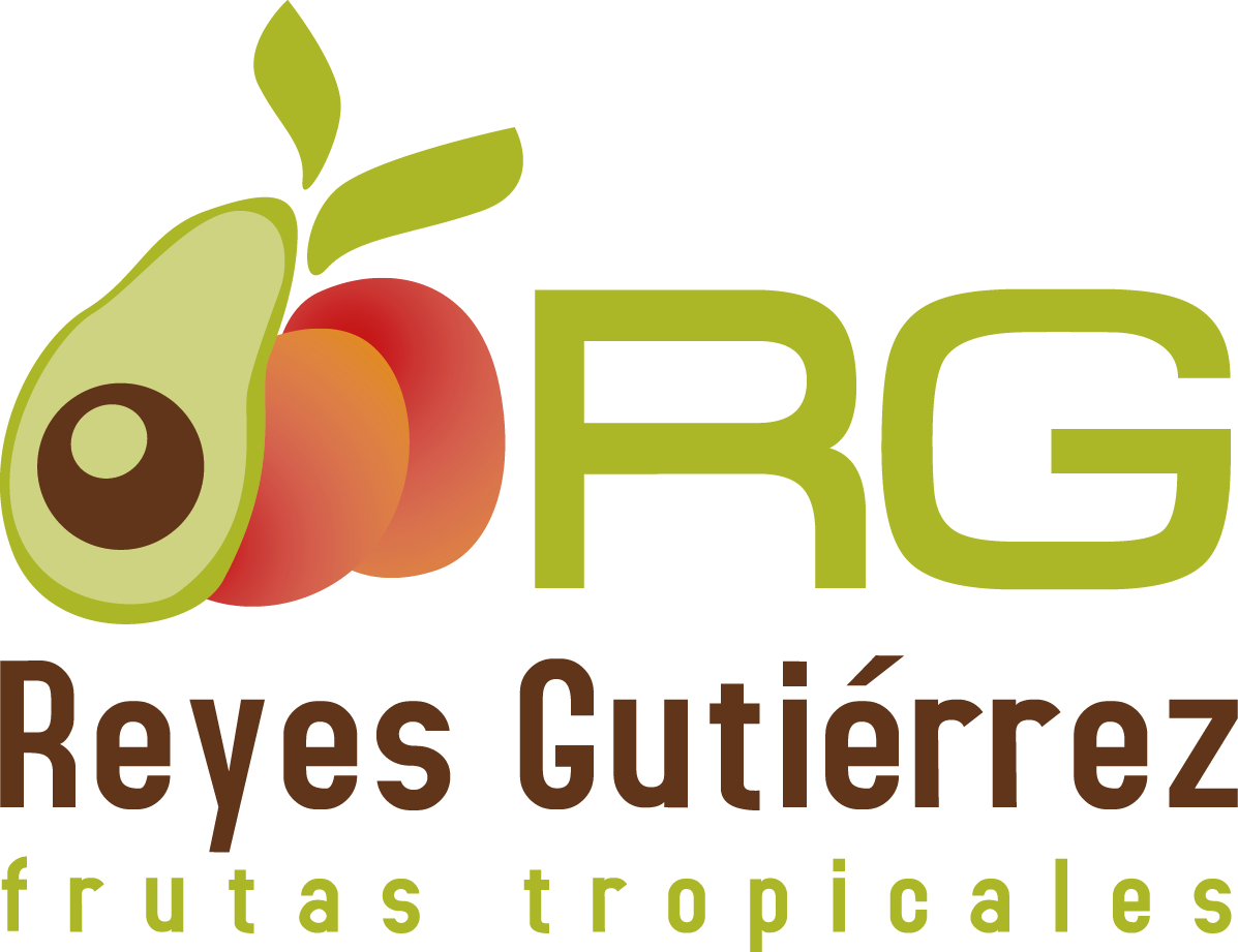 10 BENEFITS OF MANGO - Reyes Gutiérrez