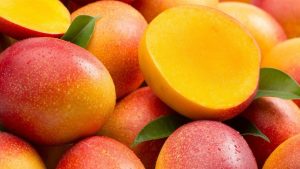 mango- kent.jpg Mango Kent