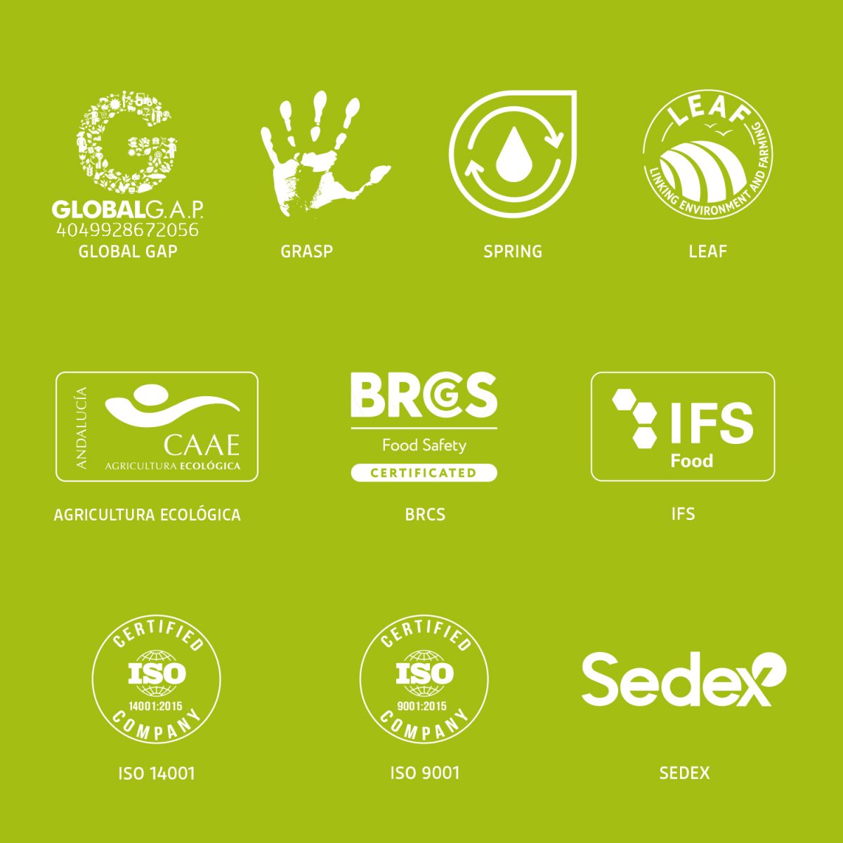 certificaciones-web2