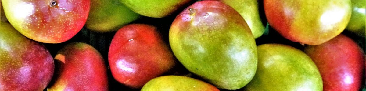 mango fruta