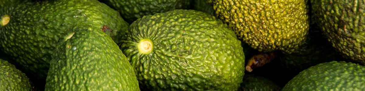 hass avocado